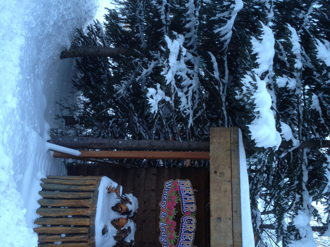 Bear Creek Winery-荷马必去景点