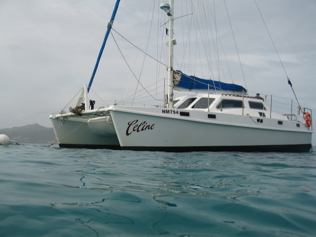 Celine Charters-辛普森湾必去景点