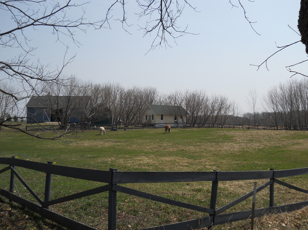 Grandma's Cottage主图