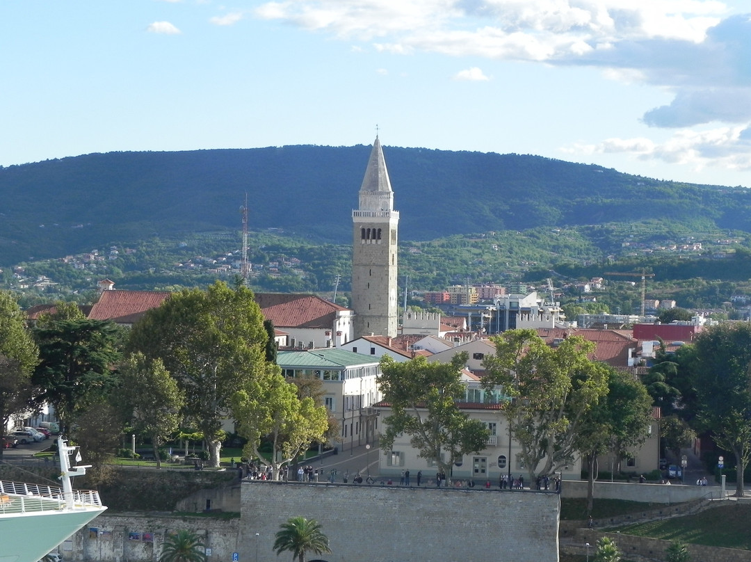 Koper Cathedral and Bell Tower景点图片