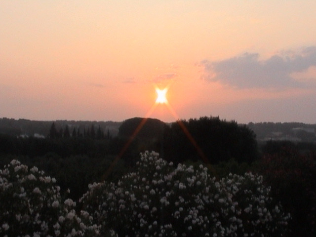 Villa Rodogallo主图