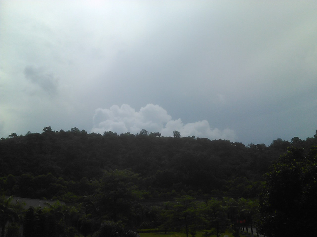 虎门镇-东莞市必去景点