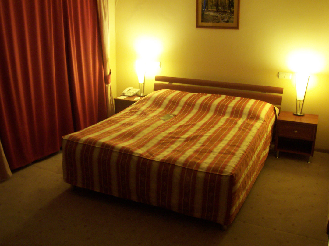 Hotel Uzhgorod主图