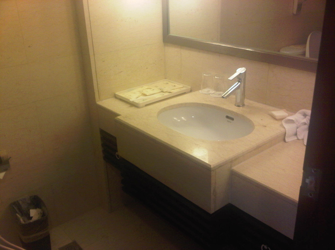 君宜王朝大饭店主图