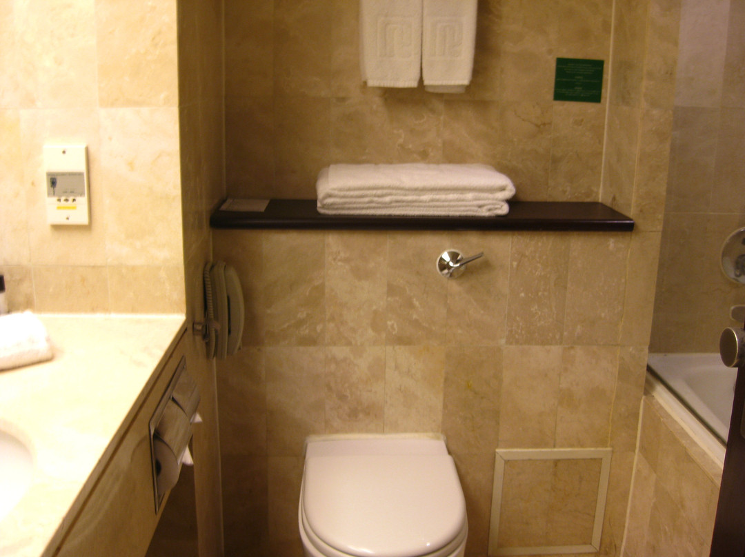 富豪东方酒店主图