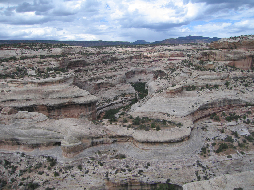 Natural Bridges National Monument-布兰丁必去景点