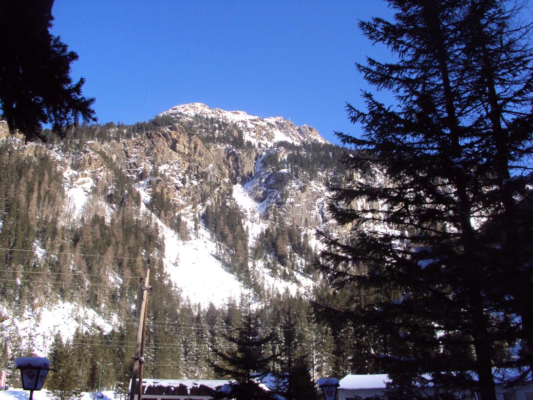 Alpengasthof Wanderurlaub Familienurlaub-酒店景观