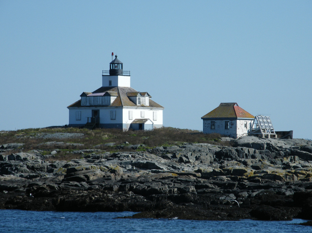 Acadian Boat Tours-巴港必去景点