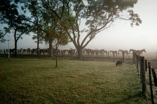 Estancia Los Dos Hermanos景点图片