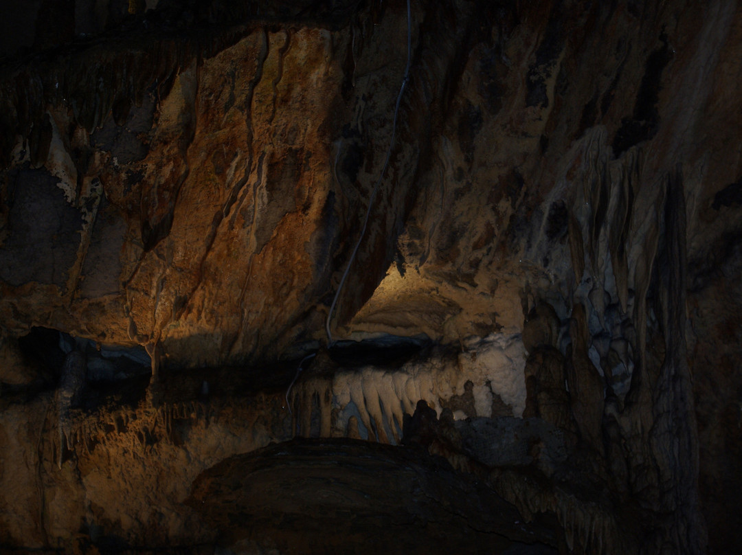Penn's Cave & Wildlife Park景点图片