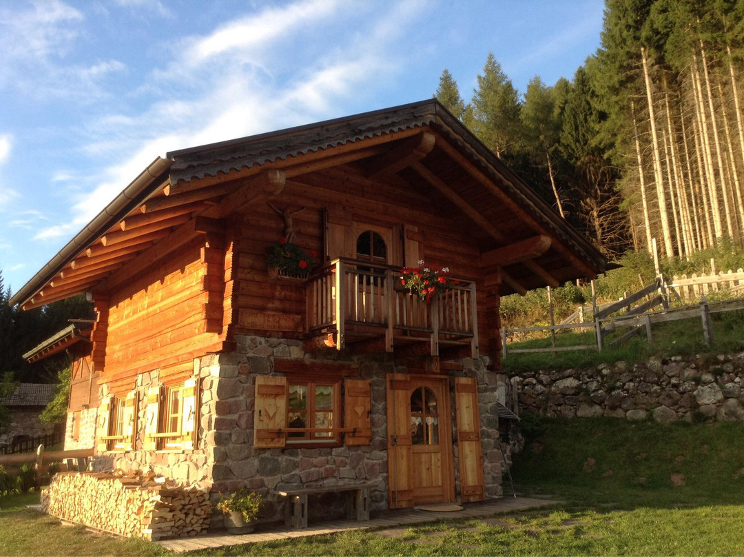 Agriturismo Sogno in Baita