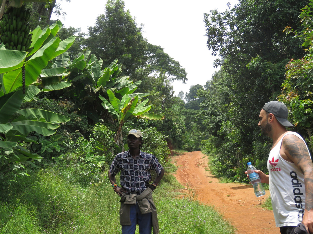 BEST Kilimanjaro CLIMB | HIKE | BIKE TREK | Tanzania Safaris from Moshi & Arusha景点图片