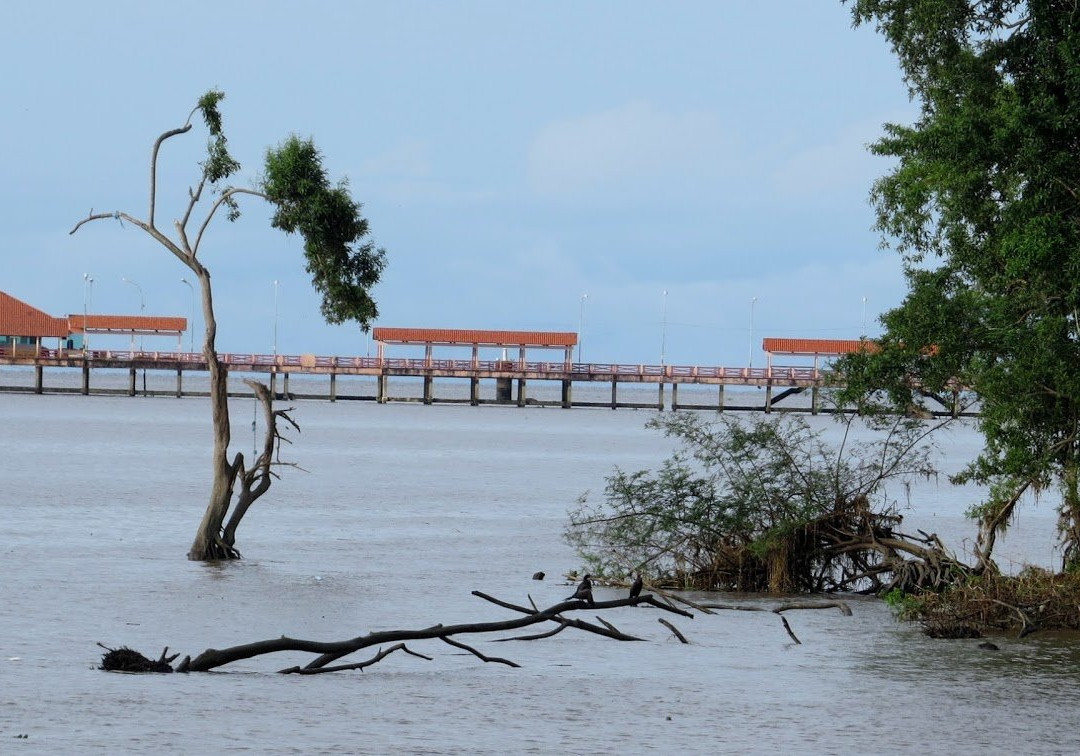 Igarapé das Mulheres