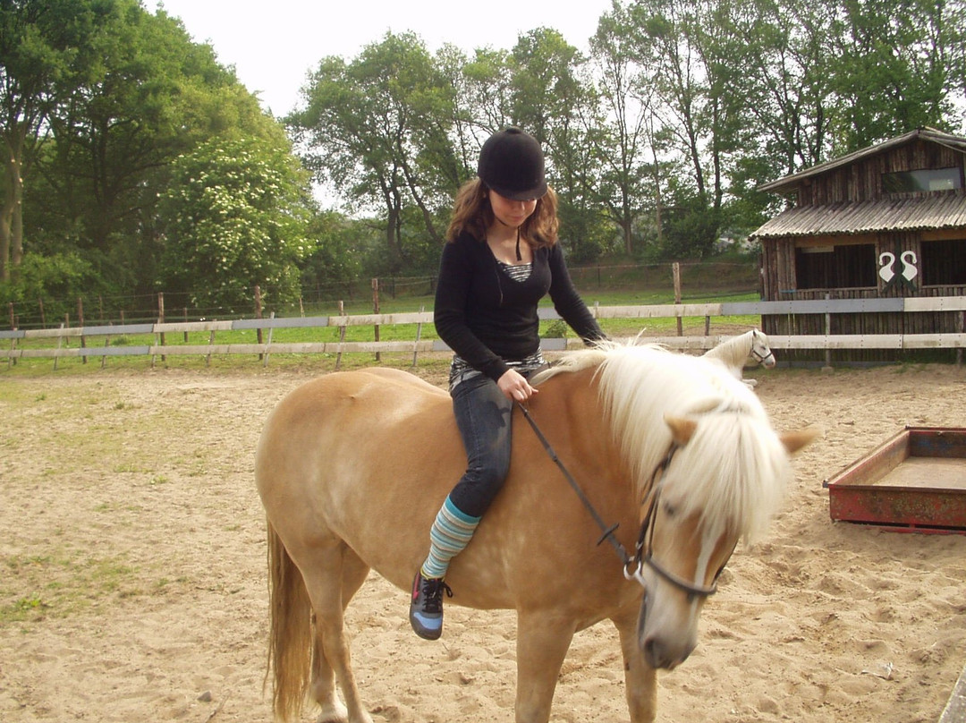 Camping Bruinsbergen