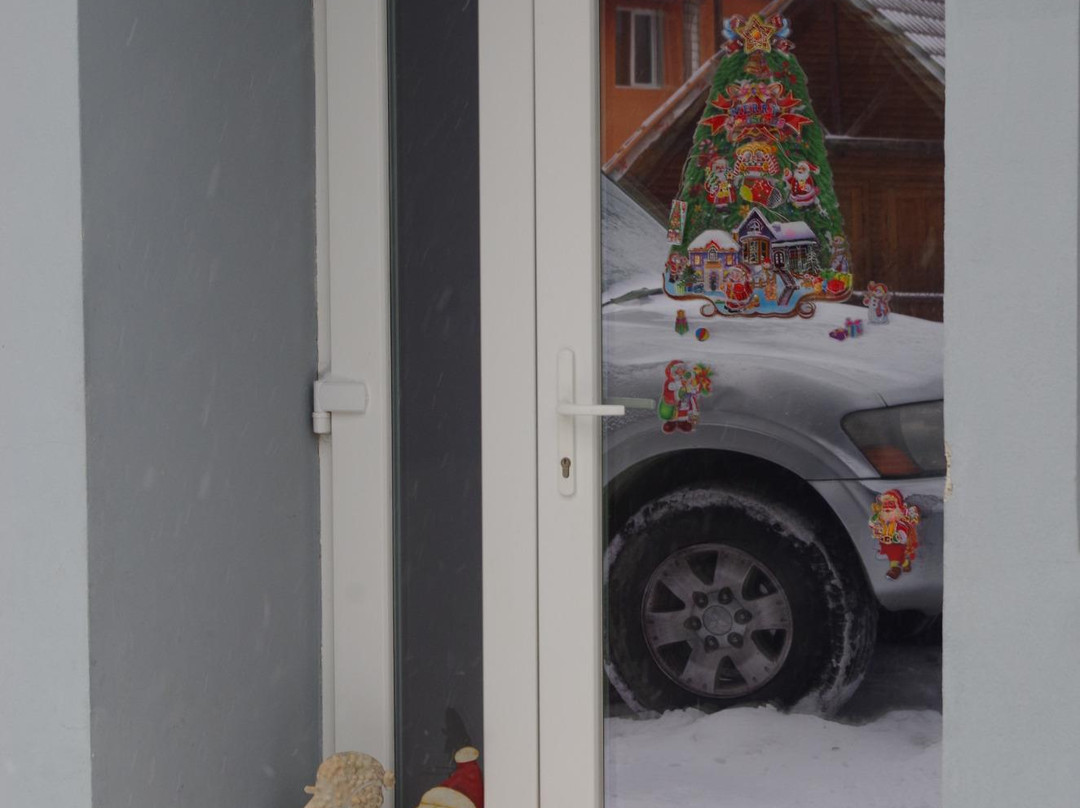 Pensiunea Floare de Colt主图