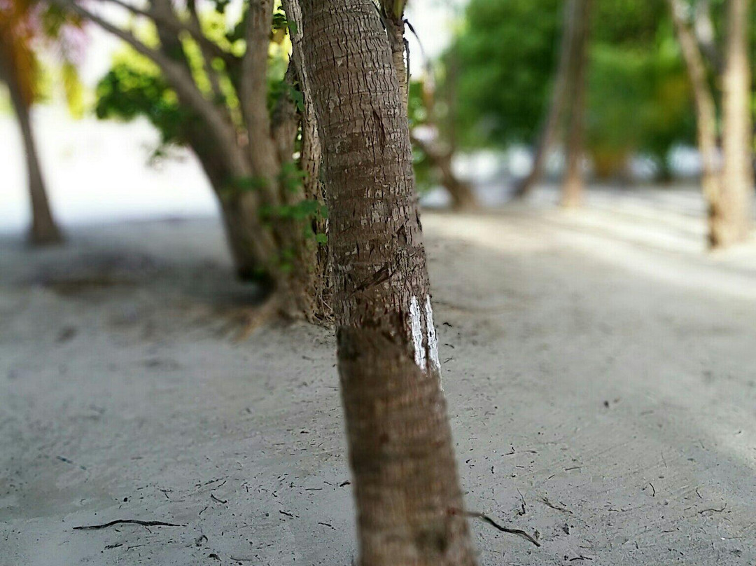 Rakeedhoo酒店住宿-Huzay View