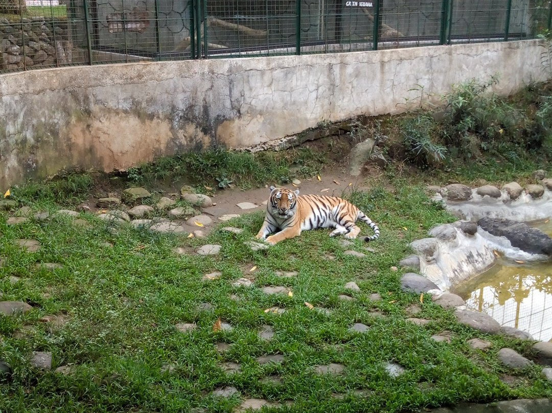 Pugad Adventure La Union Philippines-马尼拉必去景点