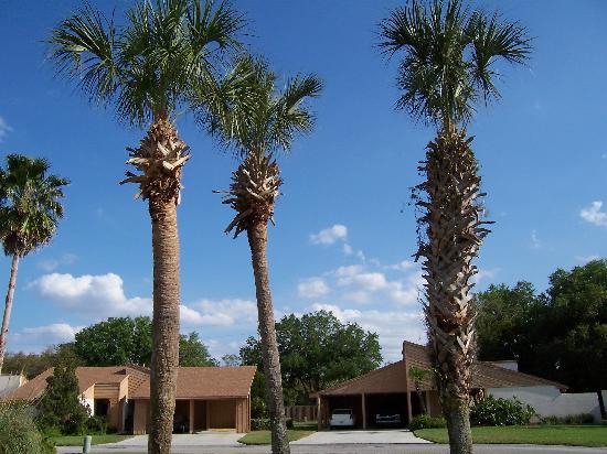 Getaways At Imperialakes-客卧