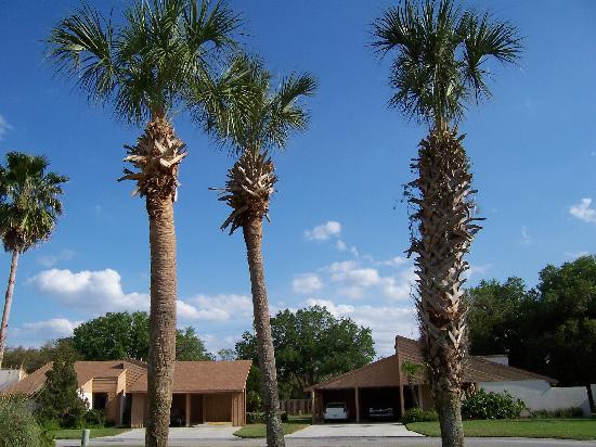 Bartow酒店住宿-Getaways At Imperialakes