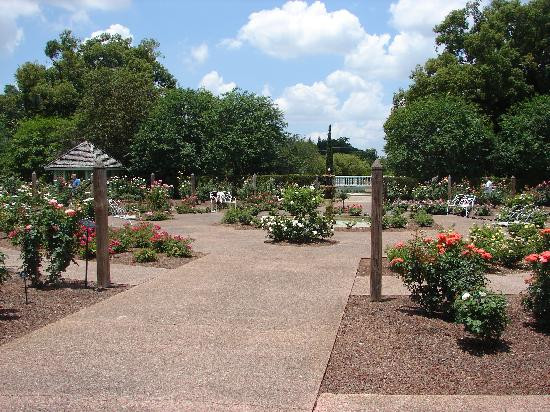 哈里花园-奥兰多必去景点