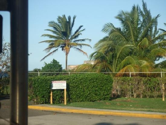 百家得朗姆酒场-Catano必去景点