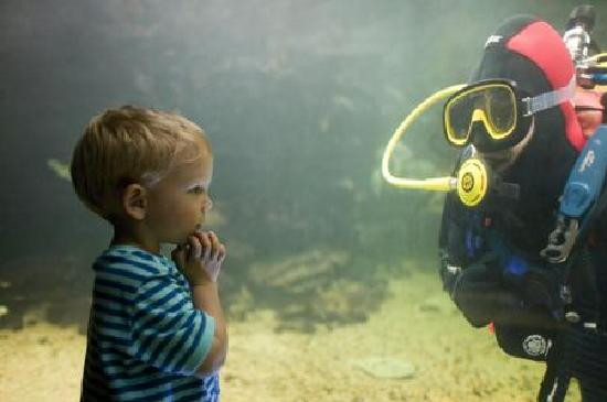 Anglesey Sea Zoo Sw Mor Mon景点图片