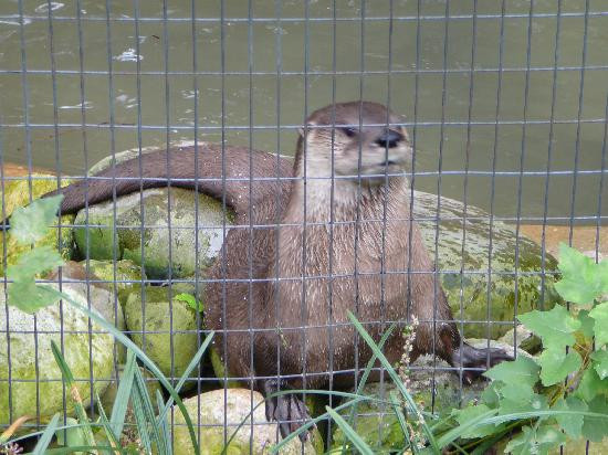 Salisbury Zoo-索尔兹伯里必去景点