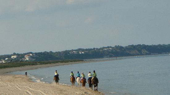 Studland Trekking Centre景点图片