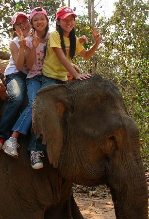 Tiger Trail Travel-琅勃拉邦必去景点