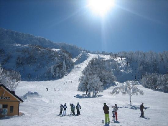 Yamagata Zao Onsen Ski Resort景点图片
