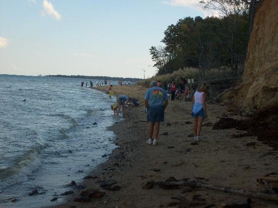 Calvert Cliffs State Park景点图片