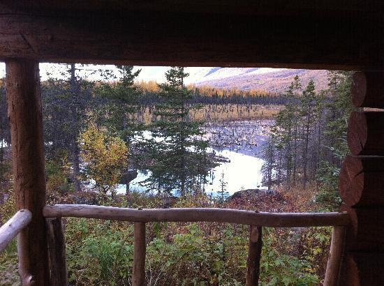 Eagle River Nature Center-伊格尔里弗必去景点