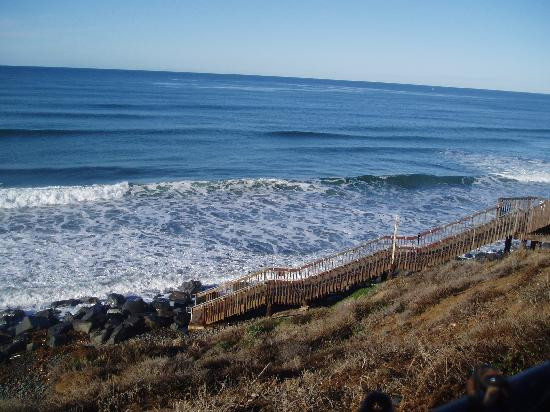 南卡尔斯巴德州立海滩-圣地亚哥必去景点