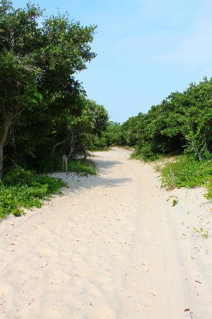 False Cape State Park-弗吉尼亚海滩必去景点