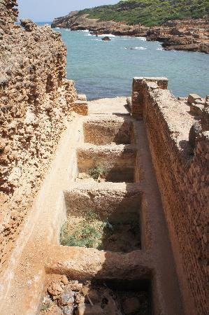 Tipasa Archaeological Park景点图片