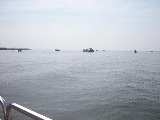 Daisey's Island Cruises-钦科蒂格岛必去景点