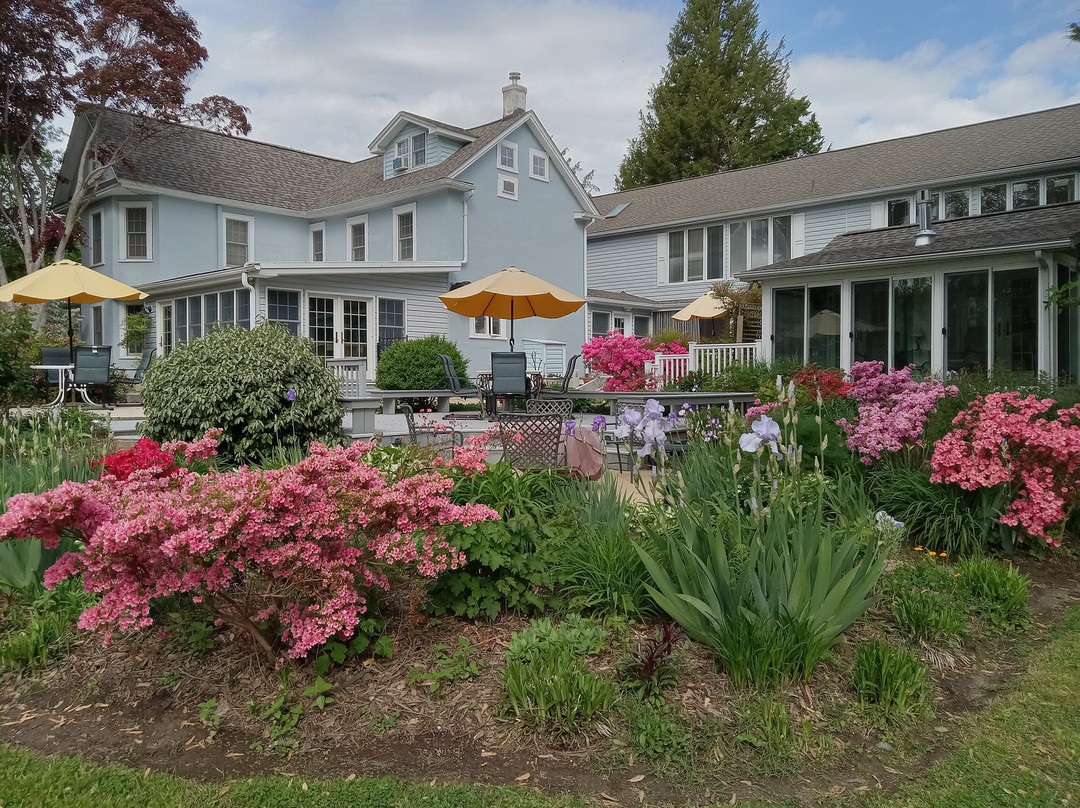 Back Creek Inn主图