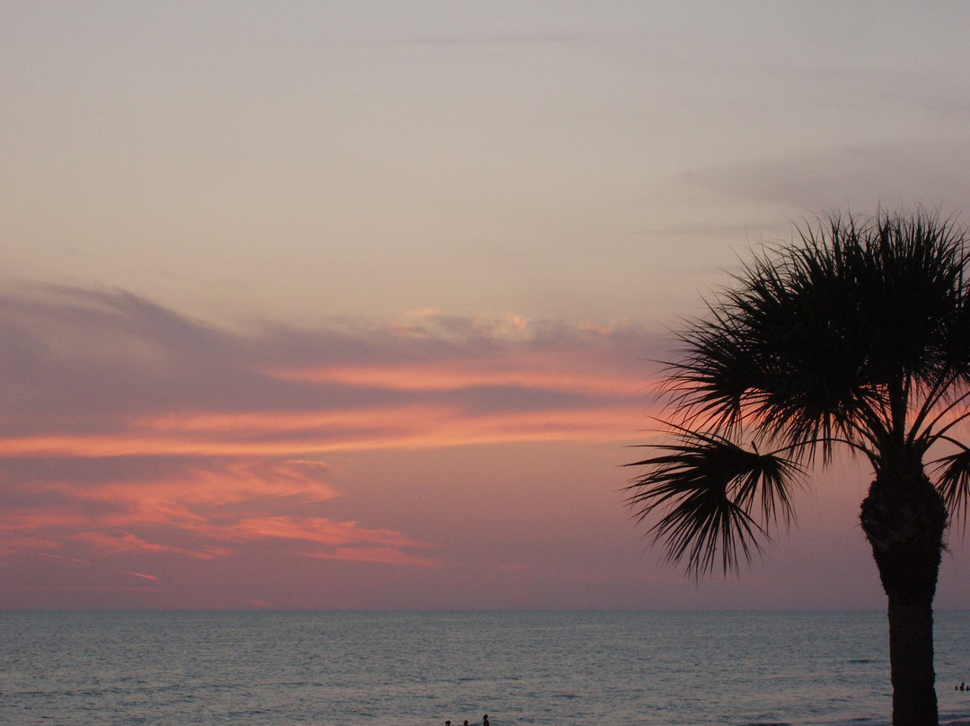 Shoreline Island Resort主图