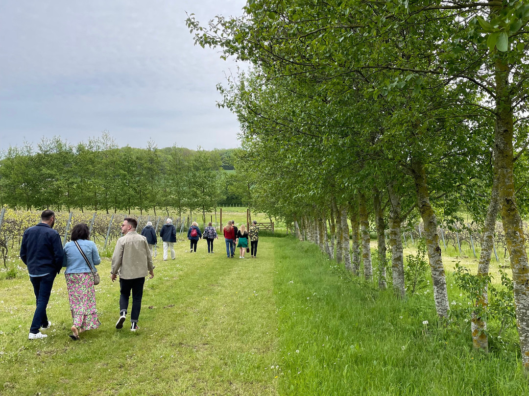 Saffron Grange Vineyard景点图片