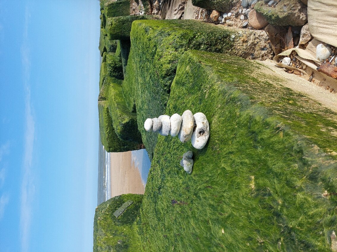 Hermanus Holidays主图