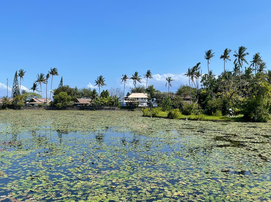 Lotus Lagoon景点图片