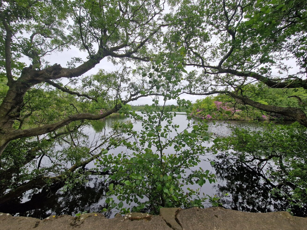 Bolam Lake Country Park-Belsay必去景点