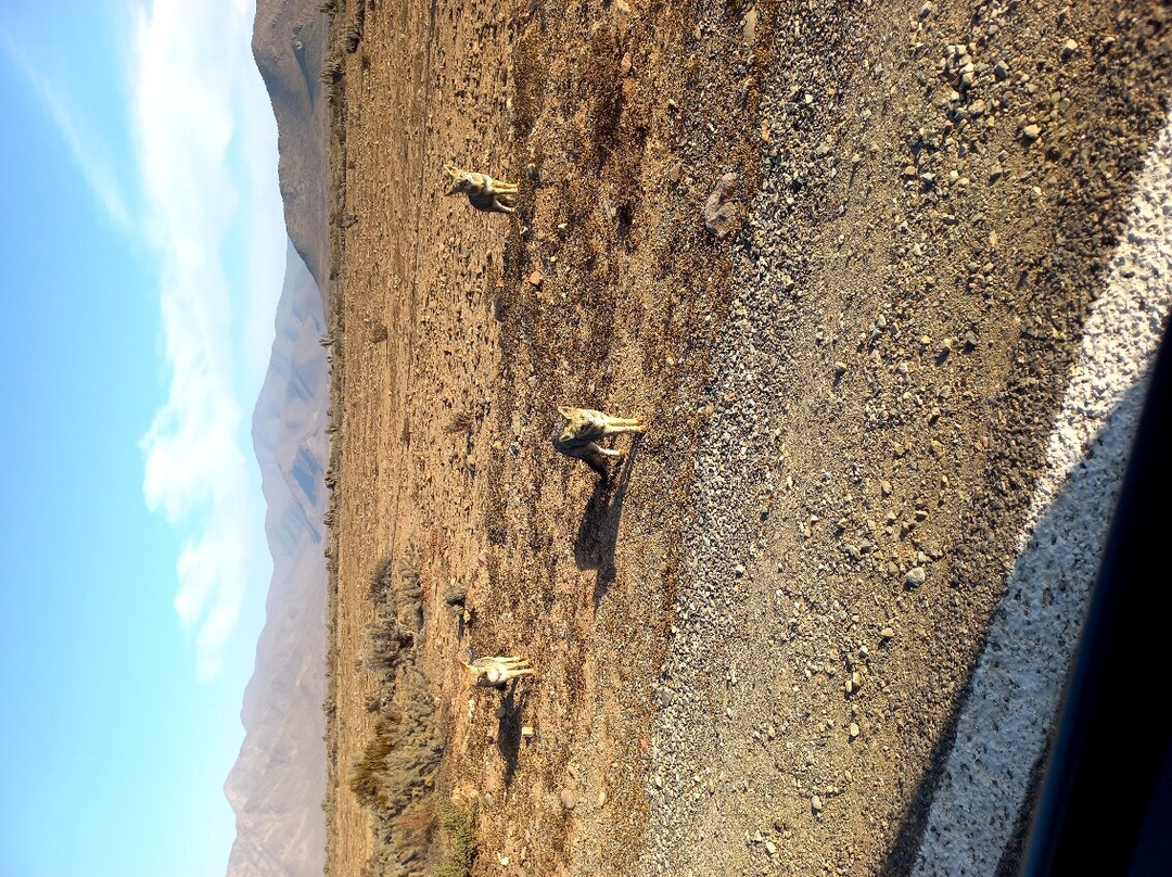 Caleta Chanaral de Aceituno-Chanaral必去景点