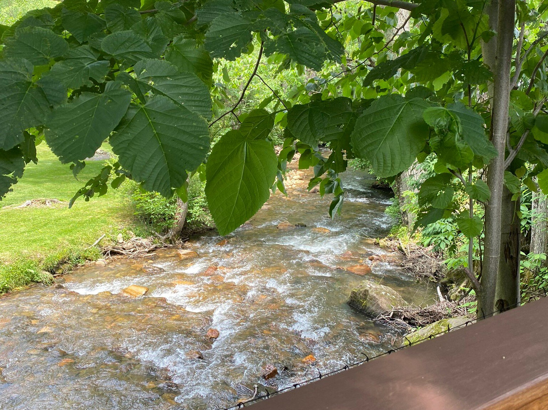 Meadowlark Motel with Restaurant & Bar主图