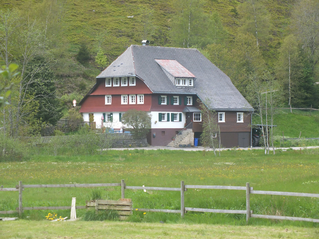 Altstadt Menzenschwand-Menzenschwand必去景点