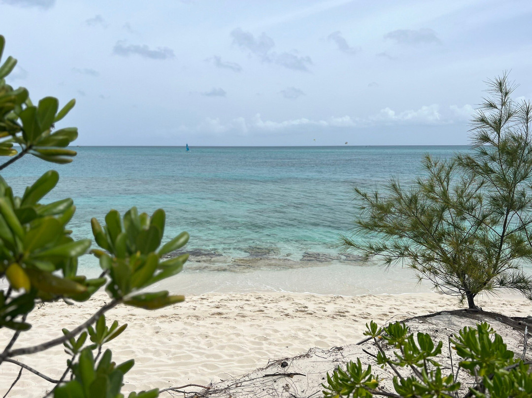 Bight Reef (Coral Gardens)-普罗维登西亚莱斯必去景点