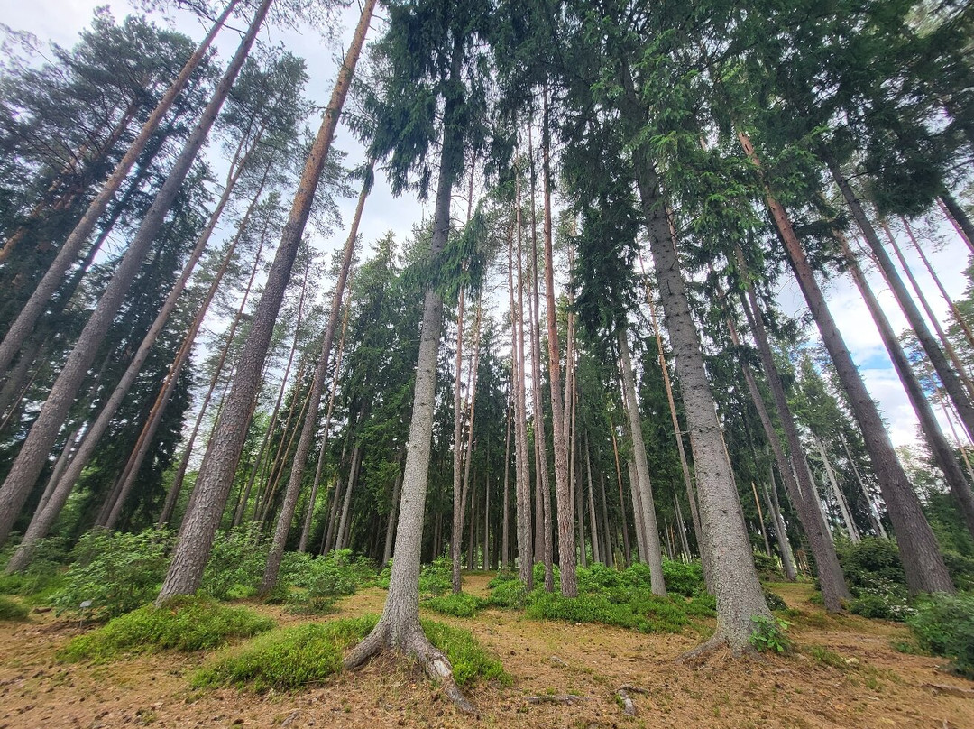 Kalsnava Arboretum-Madona必去景点