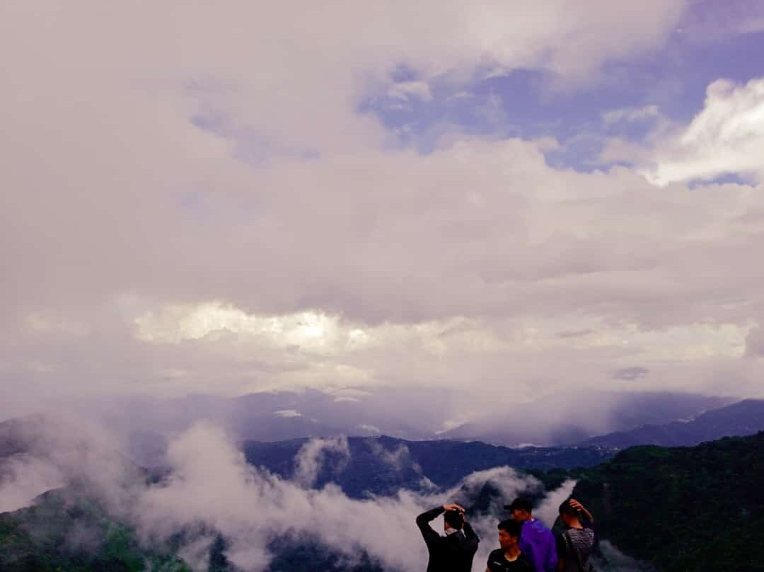 Assamica Tours and Travels景点图片
