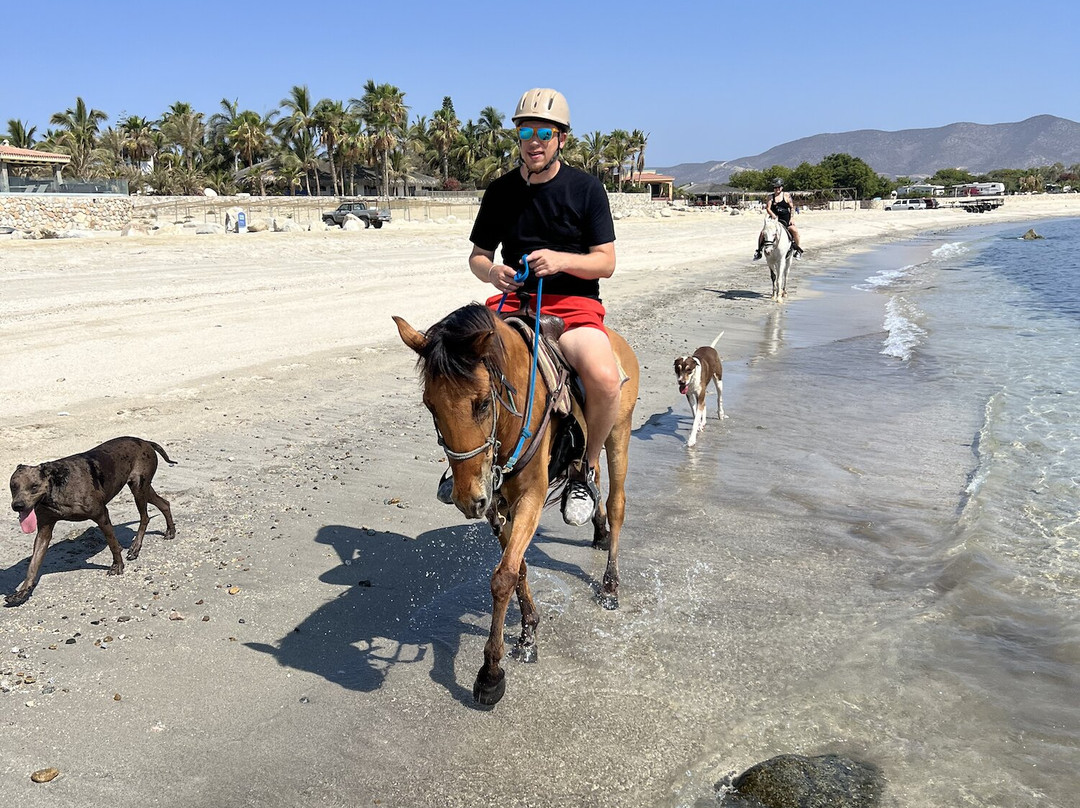 Baja's Awesome Beach Rides-Los Barriles必去景点