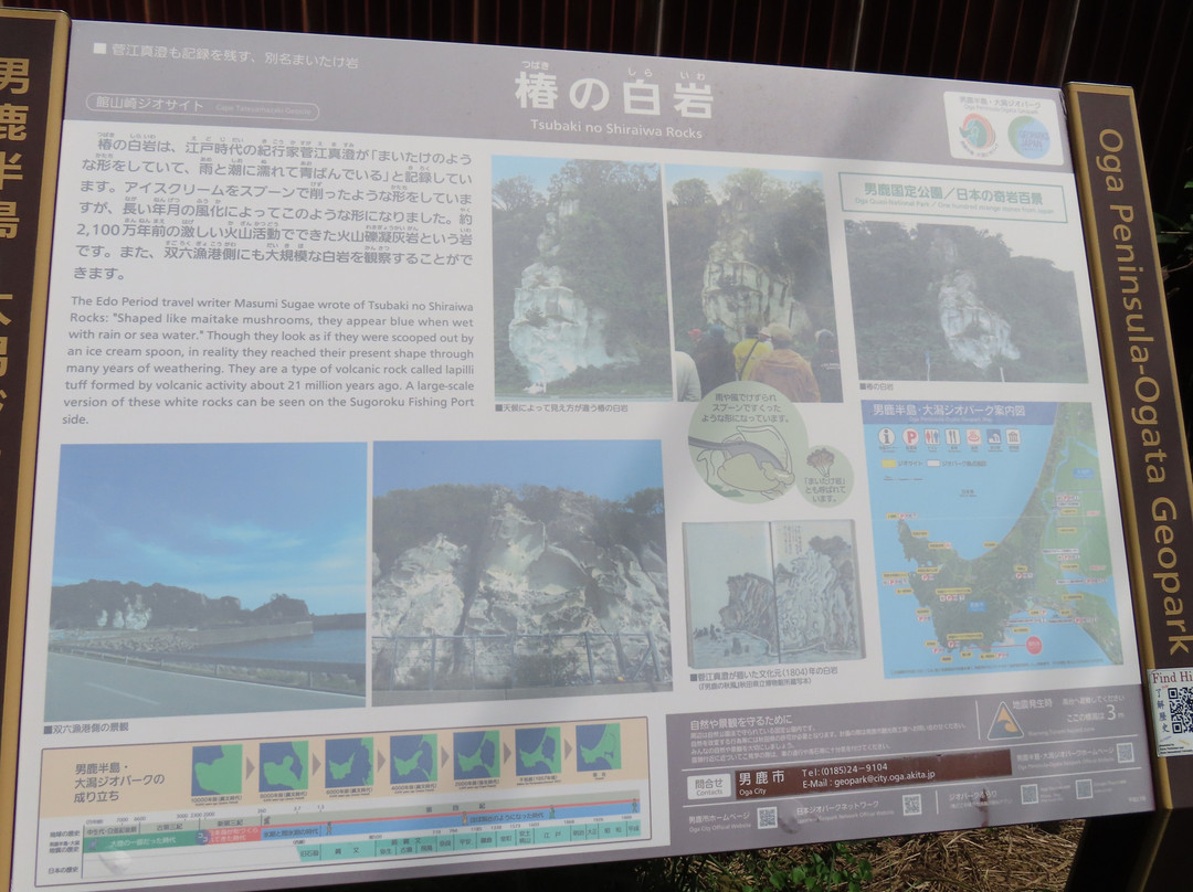 Tsubaki no Shiraiwa-男鹿市必去景点